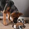 20 Cm Evcil Hayvanın Her Alanda Uygun Rahat Beslenebilmesi için Paslanmaz Çelik Mama Kabı (2818)