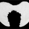 Beyaz Renkli Küçük Boy Bebek Melek Kanadı 30x45 cm (2818)