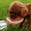 Evcil Hayvan Plastik Yıkanabilir Taşınabilir Su Şişesi Bağlantılı Su Kabı (2818)