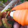 Silikon Parmak Koruyucu Meyve Toplama Aracı Bahçe Kesme Bıçak Eldiven (2818)
