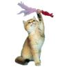 Tüylü Püsküllü Kedi Oyuncağı Dikkat Çekici Renkli Sevimli Evcil Hayvan Oyuncağı (2818)